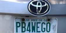 PB4WEGO plate