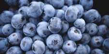 blueberries