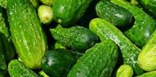 cucumbers