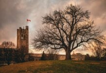 Университет Западного Онтарио утвердил бюджет на 2026–27 годы