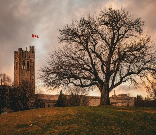 Университет Западного Онтарио утвердил бюджет на 2026–27 годы