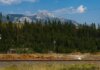 Британская Колумбия выделила $20,8 млн на поддержку лесных работников