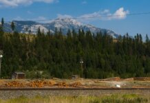 Британская Колумбия выделила $20,8 млн на поддержку лесных работников