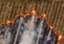Канада выплатила Альберте 385 млн долларов за ликвидацию последствий пожаров в Форт-Мак-Мюррей 2016 года Канада выплатила Альберте 385 млн долларов за ликвидацию последствий пожаров в Форт-Мак-Мюррей 2016 года
