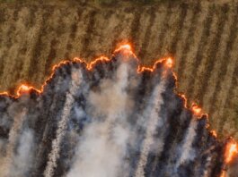 Канада выплатила Альберте 385 млн долларов за ликвидацию последствий пожаров в Форт-Мак-Мюррей 2016 года