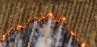 Канада выплатила Альберте 385 млн долларов за ликвидацию последствий пожаров в Форт-Мак-Мюррей 2016 года Канада выплатила Альберте 385 млн долларов за ликвидацию последствий пожаров в Форт-Мак-Мюррей 2016 года