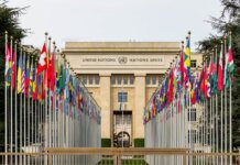 Канада продвигает приоритеты здравоохранения на 79-й Всемирной ассамблее здравоохранения