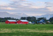 A serene farm in Agassiz, BC with red barns and mountain backdrop under a blue sky.