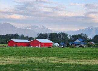 Либералы снова отказались защищать права собственников жилья A serene farm in Agassiz, BC with red barns and mountain backdrop under a blue sky.