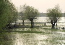 Уровень воды в озере Тимискаминг продолжает расти