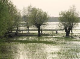 Уровень воды в озере Тимискаминг продолжает расти