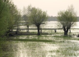 Уровень воды в озере Тимискаминг продолжает расти Уровень воды в озере Тимискаминг продолжает расти