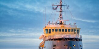 Анализ ДНК помог установить личности четырёх моряков экспедиции Франклина