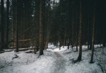 Три популярных парка Британской Колумбии вводят пропускную систему с мая