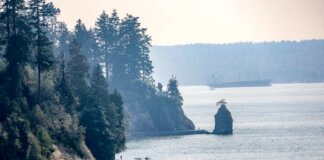 Ванкувер запускает сезонный автобусный маршрут по парку Стэнли