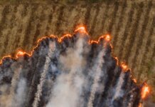 Канада объявит меры по усилению авиапожарной охраны лесов