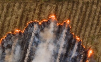 Канада объявит меры по усилению авиапожарной охраны лесов Канада объявит меры по усилению авиапожарной охраны лесов