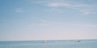 Rowing Canada объявила расписание национального тура по прибрежному спринту на 2026 год
