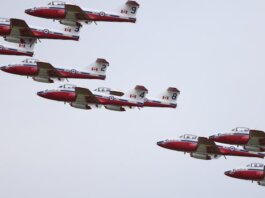 Консерваторы выступили против отмены выступлений пилотажной группы Snowbirds