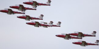 Консерваторы выступили против отмены выступлений пилотажной группы Snowbirds