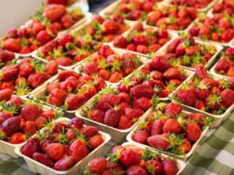 Британская Колумбия выделила $4,25 млн на талоны для покупки фермерских продуктов