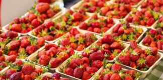 Британская Колумбия выделила $4,25 млн на талоны для покупки фермерских продуктов