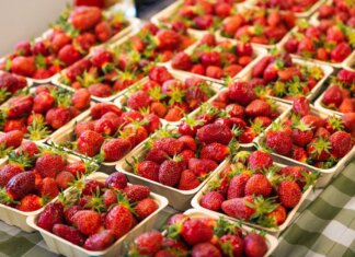 Британская Колумбия выделила $4,25 млн на талоны для покупки фермерских продуктов