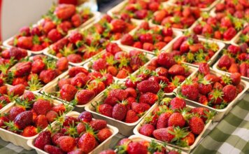 Британская Колумбия выделила $4,25 млн на талоны для покупки фермерских продуктов