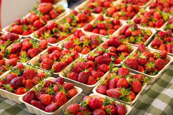 Британская Колумбия выделила $4,25 млн на талоны для покупки фермерских продуктов Британская Колумбия выделила $4,25 млн на талоны для покупки фермерских продуктов