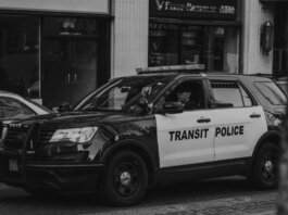 Полиция Калгари усилила патрулирование южных станций CTrain