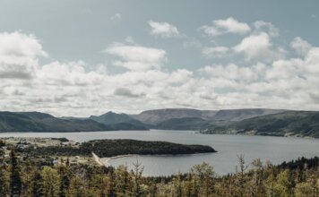 Природный парк Салмонье в Ньюфаундленде открыл летний сезон