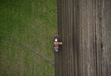 Канада запустила программу грантов для поддержки продовольственной безопасности
