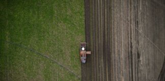 Канада запустила программу грантов для поддержки продовольственной безопасности
