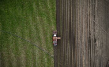 Канада запустила программу грантов для поддержки продовольственной безопасности Канада запустила программу грантов для поддержки продовольственной безопасности