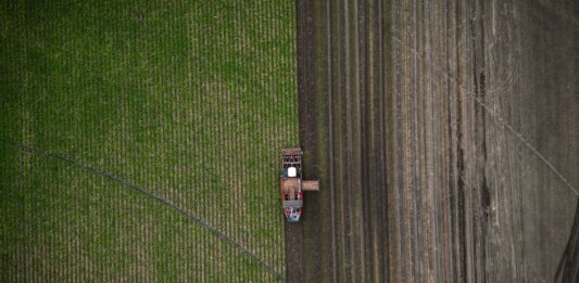 Канада запустила программу грантов для поддержки продовольственной безопасности Канада запустила программу грантов для поддержки продовольственной безопасности