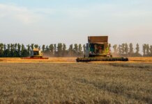 Канада запускает Национальную стратегию продовольственной безопасности