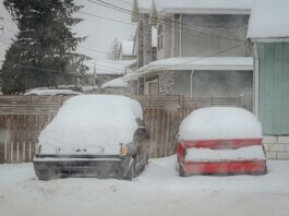 Two snow-covered cars parked on a quiet winter street in Surrey, BC, Canada.