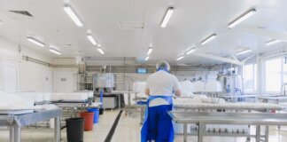 Выпускники UBC развивают пищевую промышленность Канады