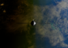 A satellite orbiting Earth showcasing contrasts between ocean and land from space.
