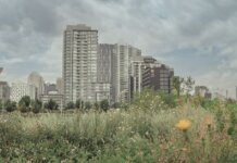 Калгари оживает летом: районные ассоциации бизнеса организуют фестивали A scenic view of Calgary's skyline with a vibrant meadow in the foreground.