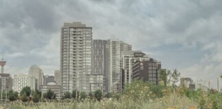A scenic view of Calgary's skyline with a vibrant meadow in the foreground.