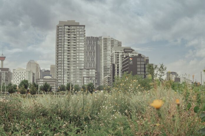A scenic view of Calgary's skyline with a vibrant meadow in the foreground. A scenic view of Calgary's skyline with a vibrant meadow in the foreground.