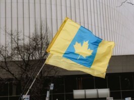 A unique flag blending Ukrainian colors with a Canadian maple leaf in an outdoor setting.