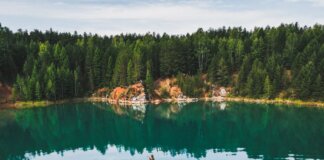 Aerial shot of a woman paddle boarding on a serene lake in Rezh, Russia, surrounded by lush greenery.
