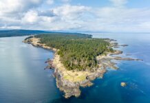 Breathtaking aerial shot of Hornby Island's rugged coastline with lush forests and tranquil sea.