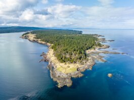 Breathtaking aerial shot of Hornby Island's rugged coastline with lush forests and tranquil sea.