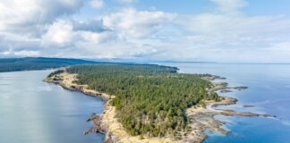 Breathtaking aerial shot of Hornby Island's rugged coastline with lush forests and tranquil sea.