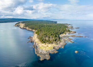 Университет UBC и остров Хорнби готовят новое поколение морских биологов Breathtaking aerial shot of Hornby Island's rugged coastline with lush forests and tranquil sea.