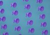 Bright purple megaphones pattern on a blue backdrop creating an abstract and modern visual.
