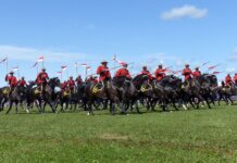 Canadian Mounties in red uniforms riding horses at an outdoor event.
